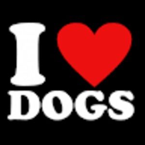 Meet your Posher, Kacy